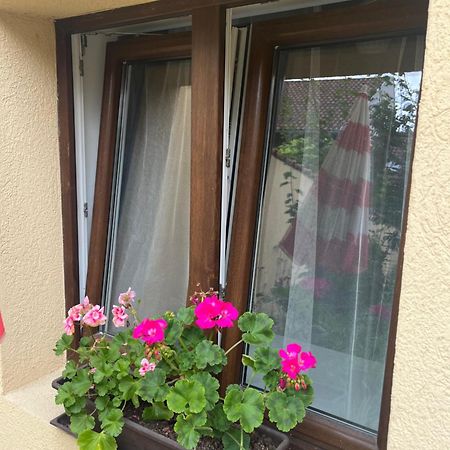 Kerti Franciaagyas Apartman Vac Exterior photo